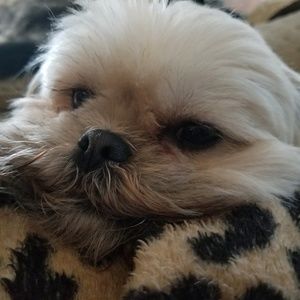 Meet your Posher, Holly